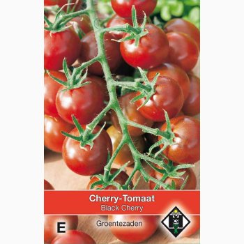 Tomatfr Tomat Black Cherry - Cherrytomat - Tomatfr (50 fr)