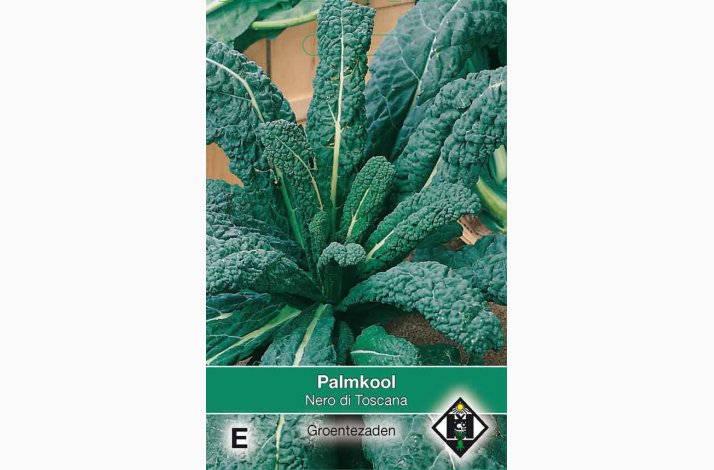 Palmk�l �Nero di Toscana� � Toscansk palmek�l Fr� (ca. 100 stk.)