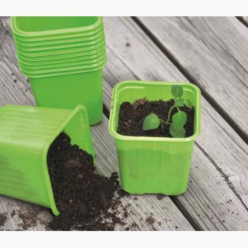 Plastpotter 8 cm limegrnne med hul for drn, 20 stk.