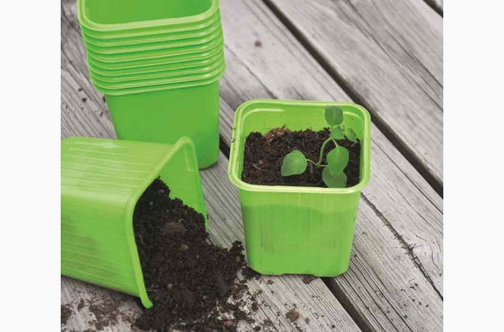 Plastpotter 8 cm limegrnne med hul for drn, 20 stk.