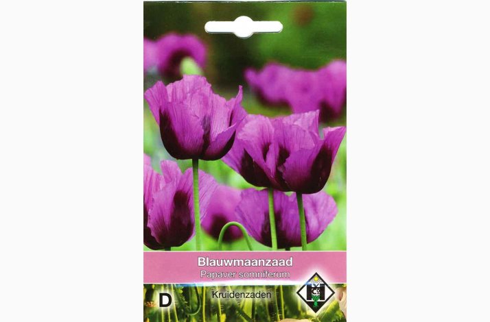 Blomsterfr Papaver somniferum - Birkes Valmue (ca. 300 fr)