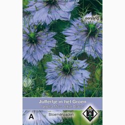 Nigella damascena Miss jekyll - Jomfru i det gr�nne