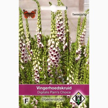 Digitalis purpurea Pam's Choice - Fingerbl (ca. 200 fr)