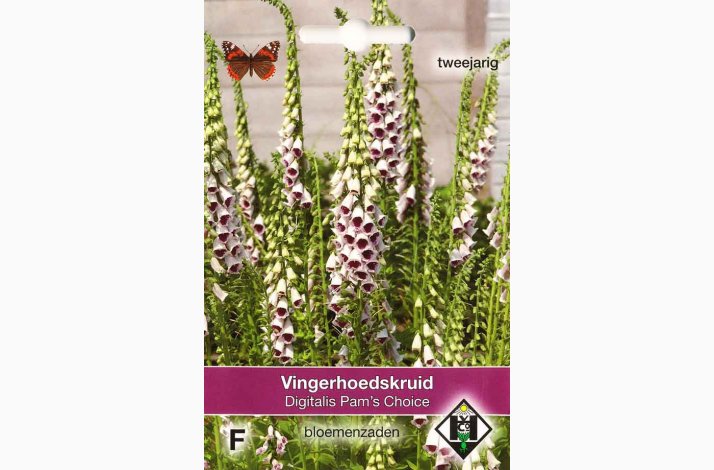 Digitalis purpurea Pam's Choice - Fingerbl (ca. 200 fr)