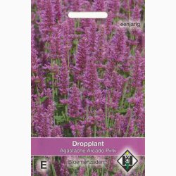 Blomsterfr Agastache hybrida Arcado Pink (ca. 150 fr)