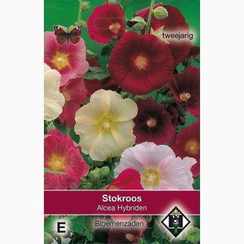Stoktose - Alcea ficifolia Hybriden - Stokrose