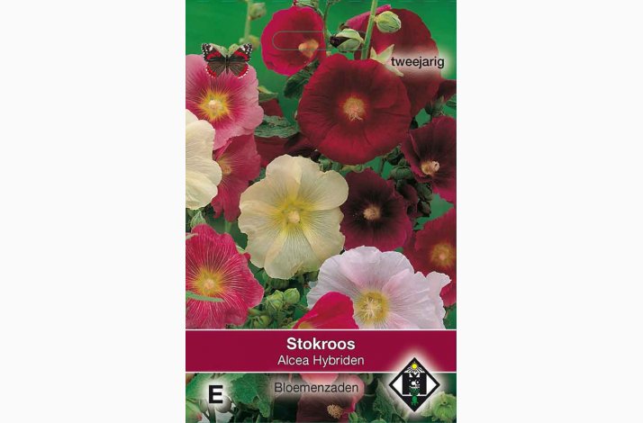 Stoktose - Alcea ficifolia Hybriden - Stokrose