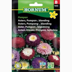 Asters, Pompon-, blanding, Pompon (min. 80 fr)
