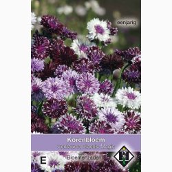 Blomsterfr Centaurea cyanus Classic Magic- Kornblomst (ca. 150 fr)