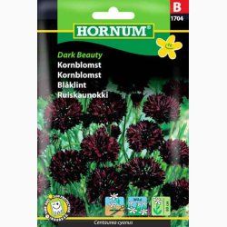 Fr, Kornblomst, Dark Beauty (min 50 fr)