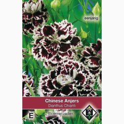 Fr, Dianthus chinensis Chianti - Kinesernellike (ca. 100 fr)