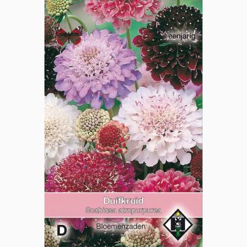 Scabiosa Atropurpurea - Enkeblomst (ca. 200 fr)