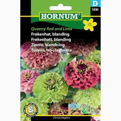 Blomsterfr Frkenhat, blan. Queeny Red and Lime (min. 10 fr)