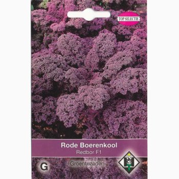 Grnkl Red Kale Redbor F1 TS