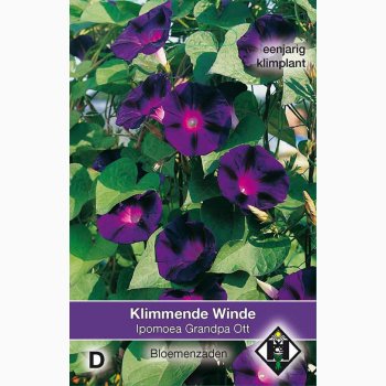 Ipomoea purpurea Granpa Ott Pragtsnerle (ca. 50 fr)