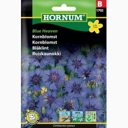 Kornblomst, Blue Heaven (min. 100 fr)