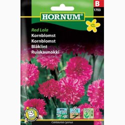 Blomsterfr, Kornblomst, Red Lola