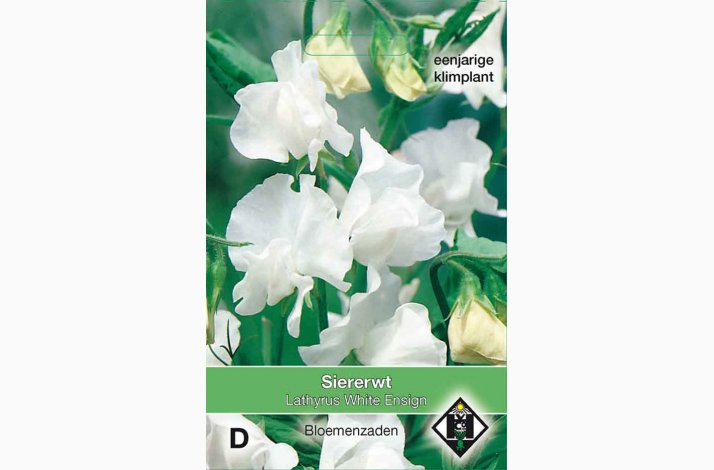 Lathyrus odoratus White Ensign - rteblomst (ca. 50 fr)