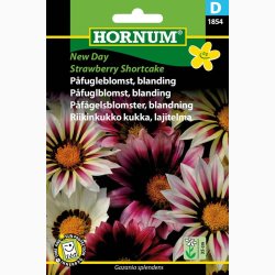 Blomsterfr Gazania New Day Strawberry Shortcake Mixture  Pfugleblomst (min. 10 fr)