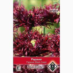 Papaver somniferum Black Swan (ca. 300 fr)