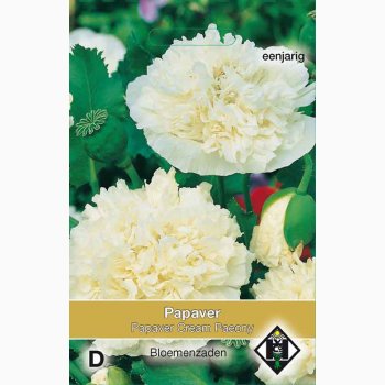 Papaver Paeoniflorum Cream Paeony-Valmue (ca. 300 fr)