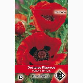 Papaver orientale Brilliant - Kmpevalmue (ca. 150 fr)