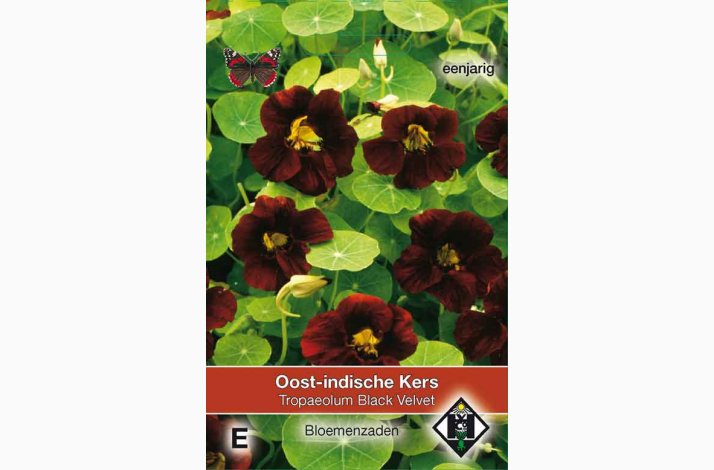 Tropaeolum Majus Nanum Black Velvet - Blomsterkarse (ca. 50 fr)