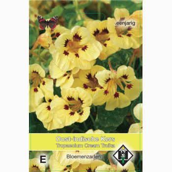 Tropaeolum minor Cream Troika - Blomsterkarse