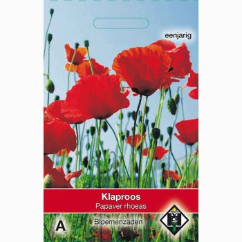 Papaver rhoeas - KornValmue (ca. 300 fr)