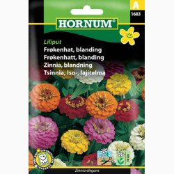 Blomsterfr, Frkenhat, blanding, Liliput (min. 70 fr)