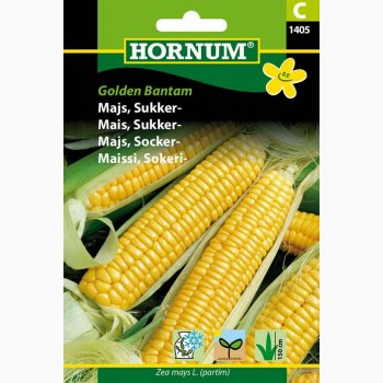 Sukkermajs Golden Bantam (min. 20 fr)