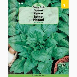 Spinat, Monnopa (C) (350 fr)
