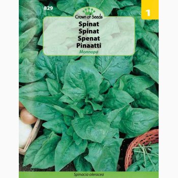 Spinat, Monnopa (C) (350 fr)
