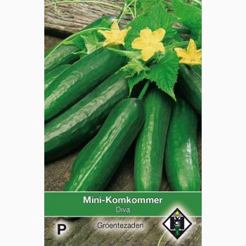 Agurkefr Cucumber Cucumis sativus Diva - Skoleagurk (25 fr)