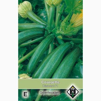 Squash fr - Courgette Cucurbita pepo Diamant F1 - Squash (ca. 12 fr)