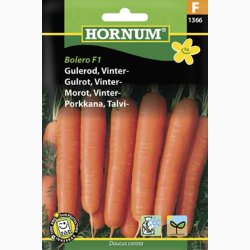 Gulerod vinter Daucus carota Gulerod Bolero F1 (min 400 fr)