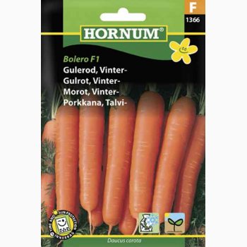 Gulerod vinter Daucus carota Gulerod Bolero F1 (min 400 fr)