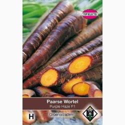 Gulerodsfr Daucus carota Purple Haze F1 - Gulerd