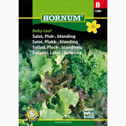 Salat, Pluk-, blanding Baby Leaf (min. 200 fr)