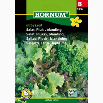 Salat, Pluk-, blanding Baby Leaf (min. 200 fr)