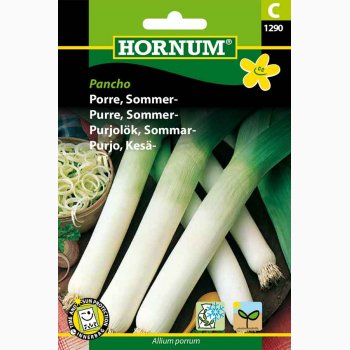 Porre, Sommer, Terminal (min. 250 fr)