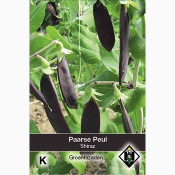 Sukker�rt �Shiraz� (Pisum sativum) � Lilla �rteb�lg � Fr� (50 g)
