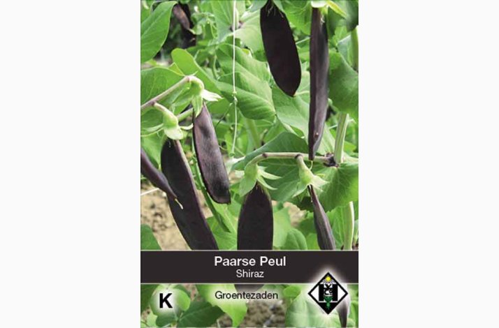 Sukker�rt �Shiraz� (Pisum sativum) � Lilla �rteb�lg � Fr� (50 g)
