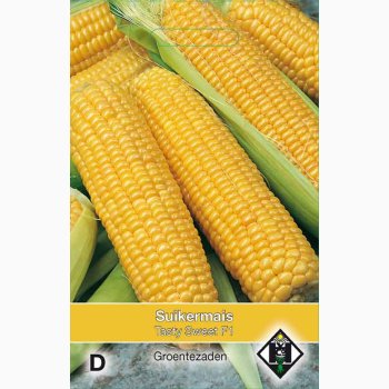 Majsfr Zea Mays Tasty Sweet F1 - Sukkermajs (ca. 20 fr)