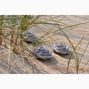 Rosalie Granicium - stk. pris