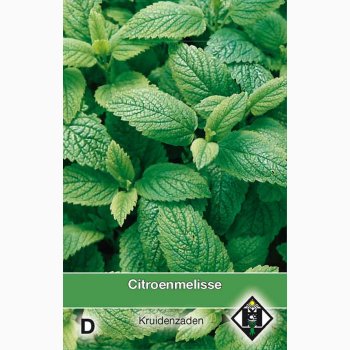 Melissa officinalis - Citronmelisse