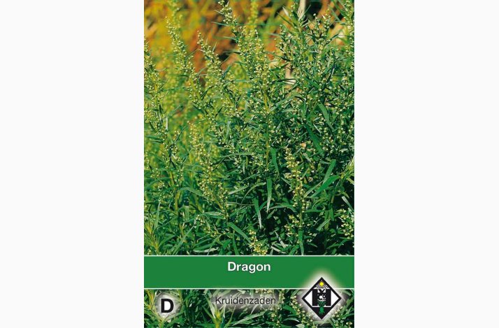 Artemis Dracunculus Russisk- Estragon