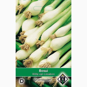 Lgfr Allium Cepa White Lissabon-Forrslg. (ca. 200 fr)