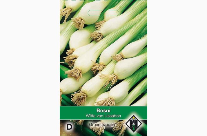 Lgfr Allium Cepa White Lissabon-Forrslg. (ca. 200 fr)