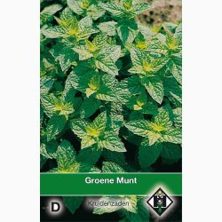 Mentha spicata (V) -Gr�n mynte (ca. 150 fr�)